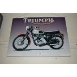 A Triumph sign (169)