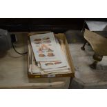 A tray of various coloured book plates