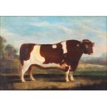 J. Whitmore, study of a short horn bull in rural landscape, signed oil on canvas laid on board, 24cm