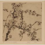 Anna Airy, pencil signed etching, "Apple Blossom", circa 1915, with dedication inscription, 14cm x