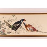J. J., study of pheasants amongst foliage, signed watercolour, 46cm x 112cm