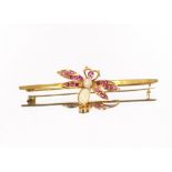 An Antique 18 carat gold opal and ruby bug brooch, (cased)