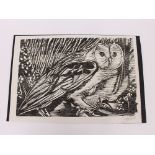 Peter Campbell, study of an owl, pencil signed woodcut