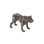 A 19th Century silvered model of a bull dog, 11cm