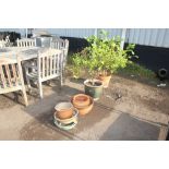 A green glazed planter and contents; a terracotta