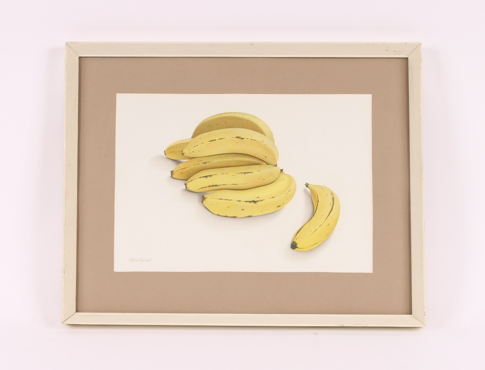 Miles Daniel, study of bananas egg tempera dated 1 - Image 2 of 2