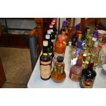 Thirteen bottles of various continental spirits et