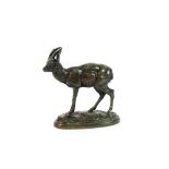 After Barye, bronze figure of a mountain goat, having gilt FB foundry mark, 11cm long x 11cm high