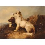 W.J. Hardy, study of terriers in landscape, signed oil on canvas, 44.5cm x 59cm