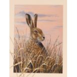 Mark Chester, "Autumn Hare", signed watercolour, 3