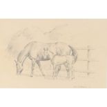 Neil Cawthorne, pencil study of a mare and foal da