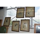 Five Japanese prints depicting birds