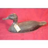 A wooden decoy duck, 40cm long