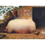 J Whitmore, study of a prize pig by Sty, signed oil on canvas, 30cm x 39cm