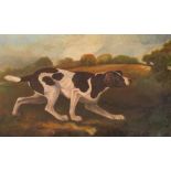 19th Century English school, a pointer dog in landscape, oil on artists board 19cm x 32cm