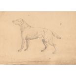 Edwin Cooper of Beccles, an ink and wash drawing of a dog, unframed
