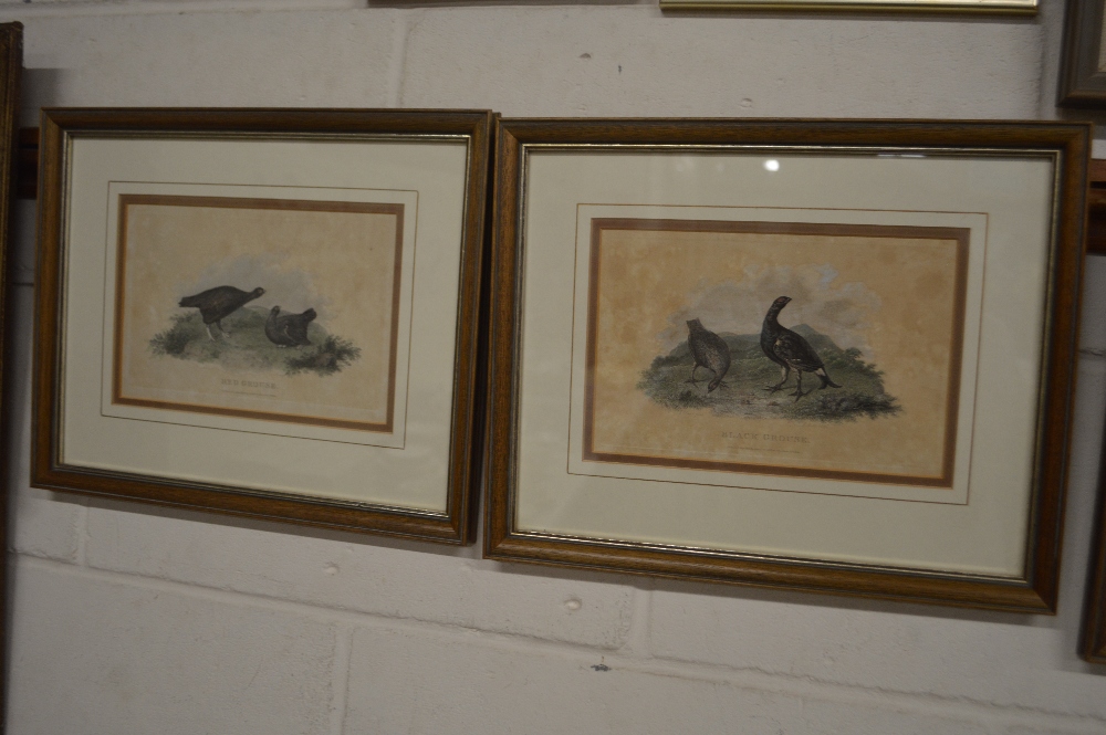 A set of four framed and glazed coloured prints de - Bild 2 aus 2