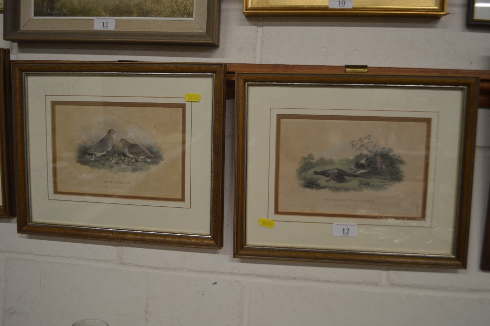 A set of four framed and glazed coloured prints de