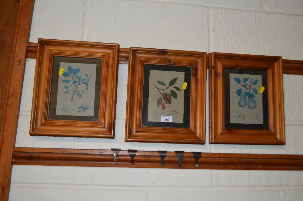 A set of three pine framed botanical prints