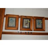 A set of three pine framed botanical prints