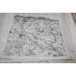 A collection of rolled maps