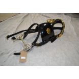 Single patent leather trade bridle.