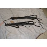 Set of pair reins.