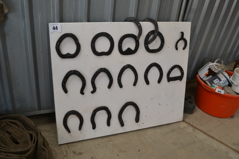 Display board with various horse shoes.