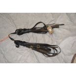 Set of pair reins.