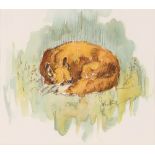 John King, "Snoozing", signed watercolour, 14cm x