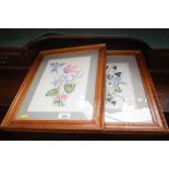 Two framed botanical watercolours by the same hand