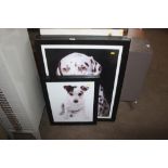 A quantity of prints depicting dogs
