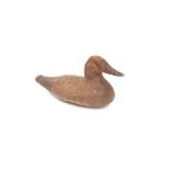 A Hen Pochard decoy duck