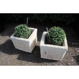 A pair of decorative garden planters and contents