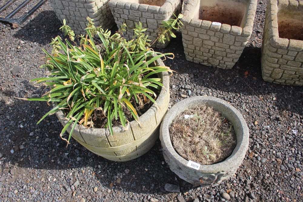Two concrete planters and contents