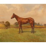 H. Harris, study of a racehorse in rural landscape, signed oil on canvas, 48cm x 58cm