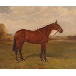 R. Anscome, Newmarket, study of the horse "Culworth", signed oil on canvas, 48cm x 58cm