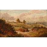 Alfred W Darby, an extensive heath land scene with a figure in the foreground, signed and dated
