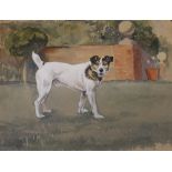 A folder containing 19th Century school dog watercolour; double page Dressage print etc.