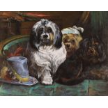 G Metzu, study of three dogs in an interior, oil on board signed 46cm x 59cm