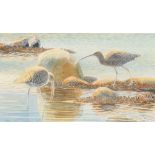 20th Century school, indistinctly signed, study of wading birds, 25cm x 43cm