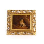English school, 19th Century study of a kitten sat by it's bowl, oil on canvas in carved wood