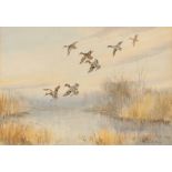 Roland Green, 1890-1972, study of ducks in flight, signed watercolour, 27cm x 38.5cm