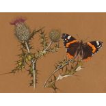 Yvonne Hammond, study of a butterfly and flowers, initialled watercolour, contained in pollard