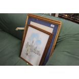 A collection of framed mostly rural prints