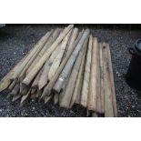 A quantity of wooden stakes