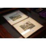 A pair of framed and glazed shooting prints