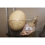 An ostrich egg; a seashell; and two carved orienta