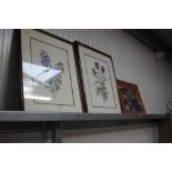 Two framed and glazed still life watercolour studi