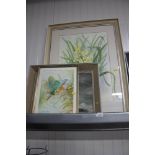 A framed and glazed watercolour study of daffodils